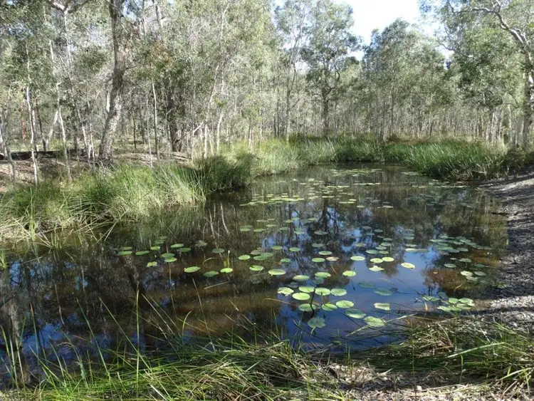Second view of Homely rural property listing, 188 Seabreeze Court, Deepwater QLD 4674