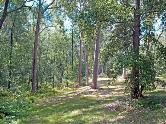 Fourth view of Homely rural property listing, 22 Giribil Track, Bucketty NSW 2250