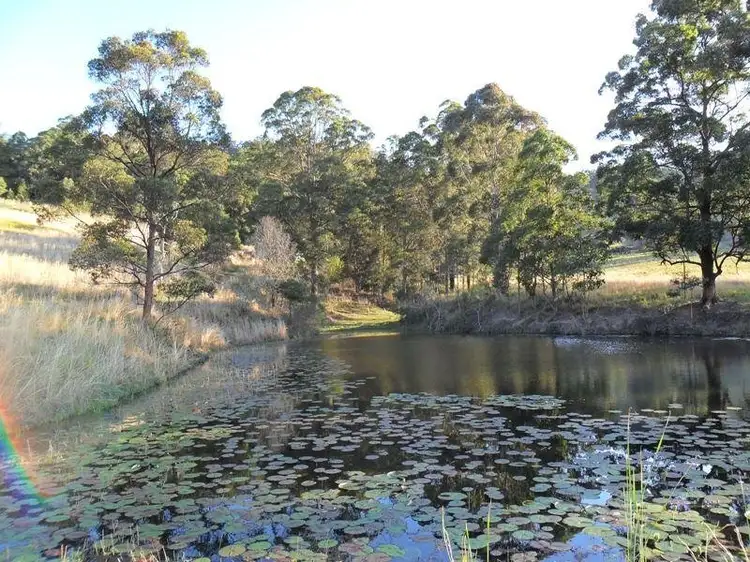 Third view of Homely rural property listing, Lot 168 Attards Road, Congarinni NSW 2447