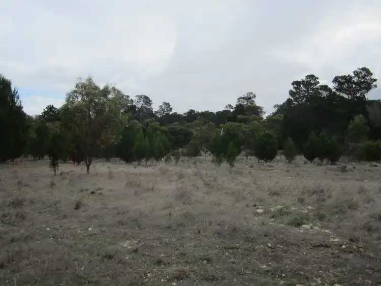 Seventh view of Homely rural property listing, Lot 1 Lot 2 (198S) Wellington East (Via Tailem Bend), Wellington East SA 5259