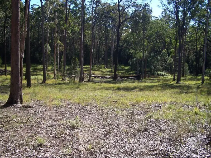 Main view of Homely rural property listing, 48 Locketts Crossing Road, Coolongolook NSW 2423