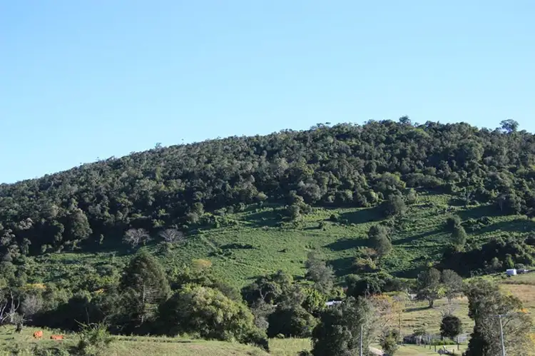 Main view of Homely rural property listing, Address available on request