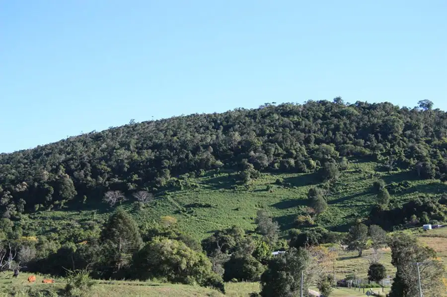 Main view of Homely rural property listing, Address available on request