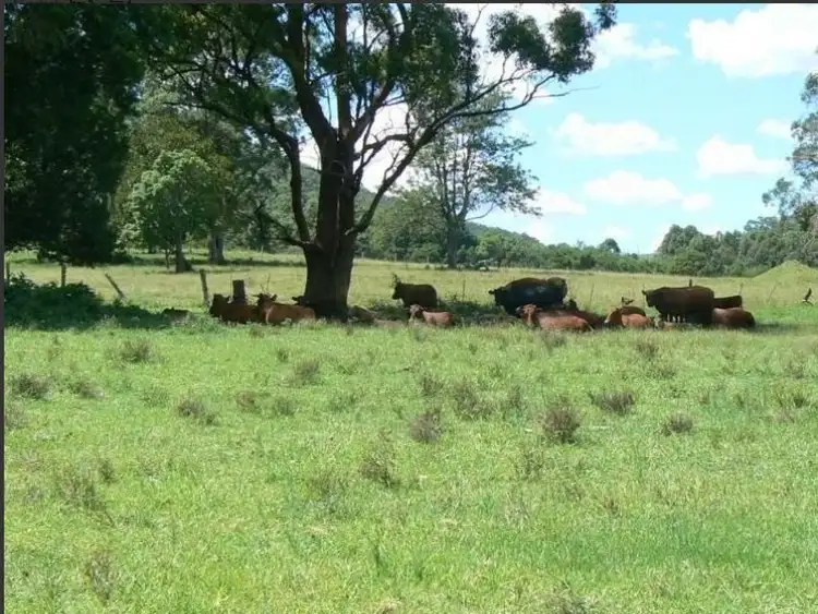 Second view of Homely rural property listing, 189 Saxbys Lane, Kundibakh NSW 2429