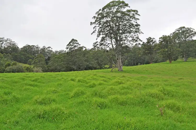 327 Moleton Road, Lowanna NSW 2450