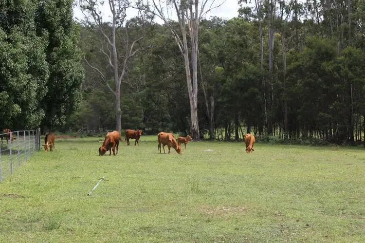 Second view of Homely rural property listing, Lot 28 Bald Knob Tick Gate Road, Halfway Creek NSW 2460