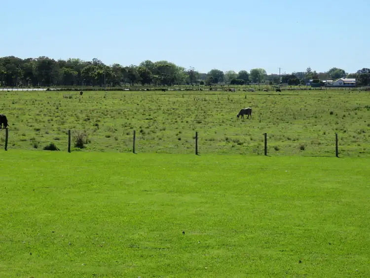 Seventh view of Homely rural property listing, 7 Kinchela Creek Right Bank Rd, Kinchela NSW 2440