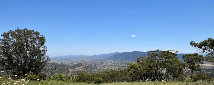 Jura Waverley Road, Scone NSW 2337