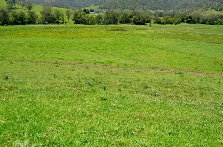 Fourth view of Homely rural property listing, 219 *Gradys Creek Road, Kyogle NSW 2474