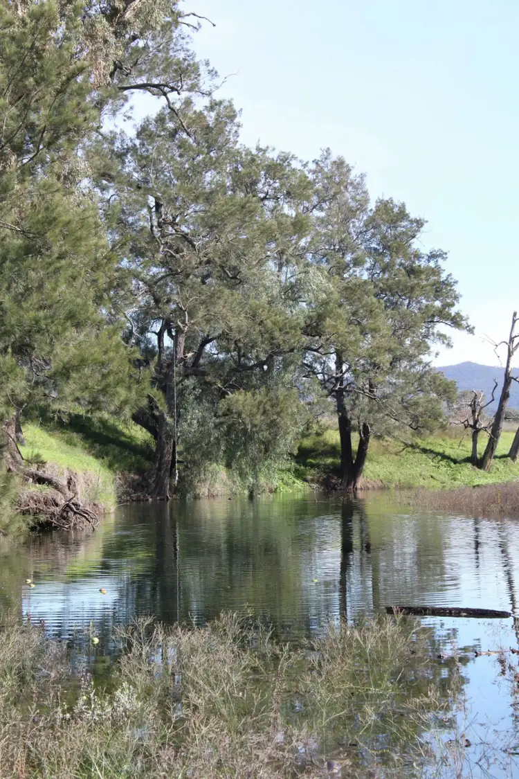 Fifth view of Homely land listing, 350 Bunnan Road, Scone NSW 2337