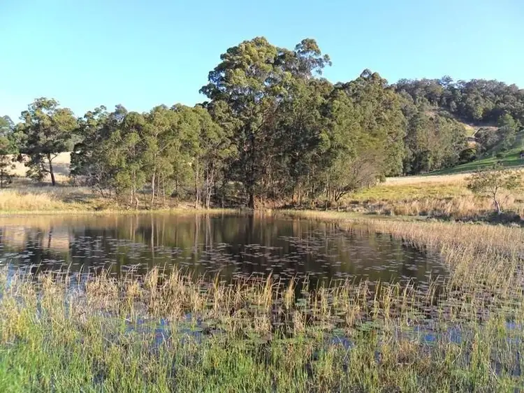 Fifth view of Homely rural property listing, Lot 168 Attards Road, Congarinni NSW 2447