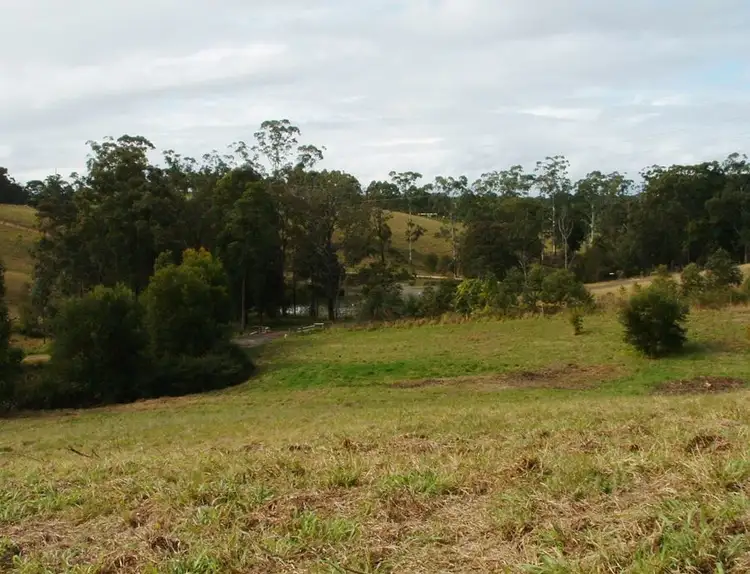 Seventh view of Homely rural property listing, Lot 1 East West Road, Valla NSW 2448