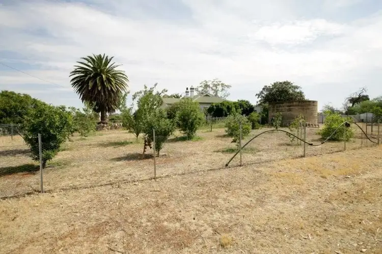 Sixth view of Homely rural property listing, 738 Pikedale Road, Old Junee NSW 2652