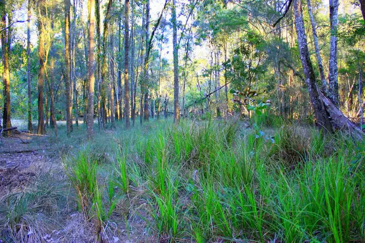 Seventh view of Homely land listing, 313 South Arm Road, Urunga NSW 2455