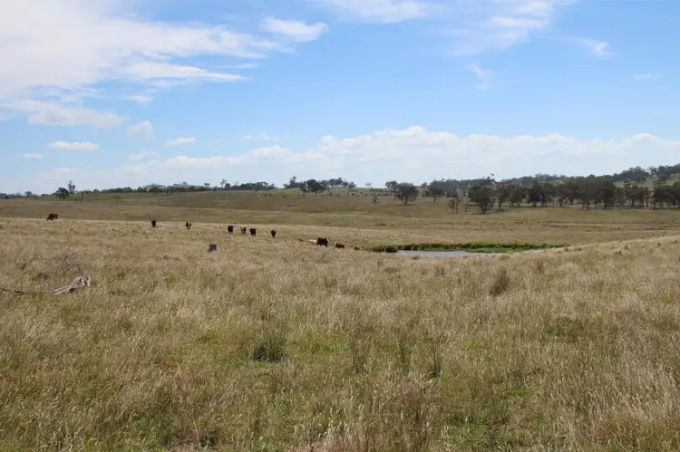 Second view of Homely rural property listing, 1220 Scrub Road, Tenterfield NSW 2372