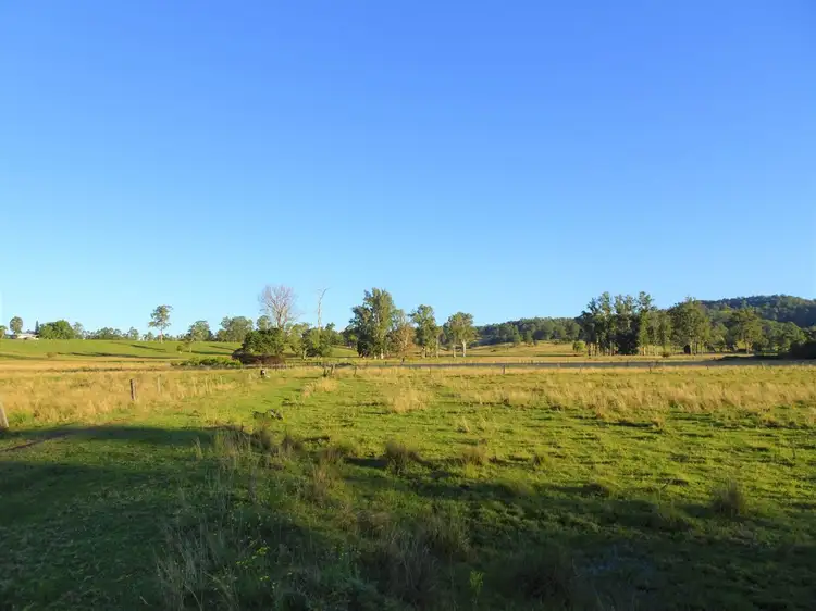 Second view of Homely rural property listing, 2634 Coaldale Road, Coaldale NSW 2460