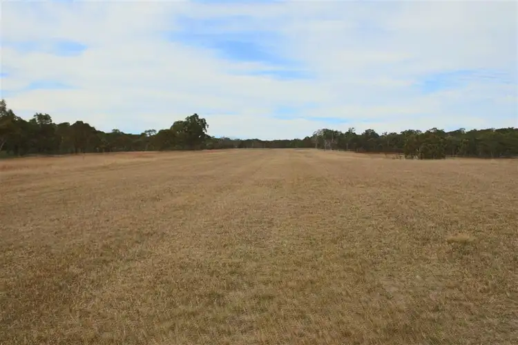 Sixth view of Homely rural property listing, 287b Mount Spirabo Road, Tenterfield NSW 2372