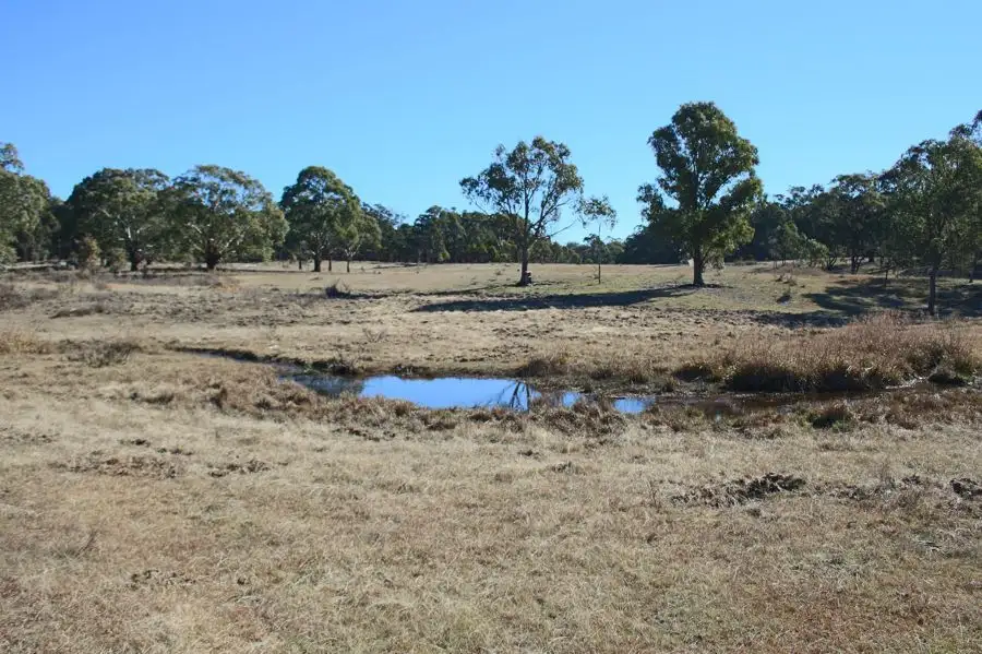 Main view of Homely rural property listing, 1331a Mount Mackenzie Road, Tenterfield NSW 2372