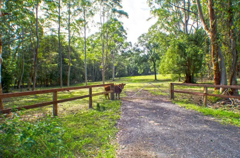 Main view of Homely land listing, Lot 2 Berkeley Road, Fountaindale NSW 2258