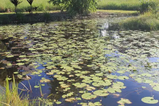 Second view of Homely rural property listing, 30 Mary Jane Drive, Julatten QLD 4871