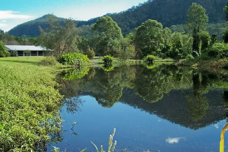 Main view of Homely rural property listing, 47. Findon Creek Road, Kyogle NSW 2474