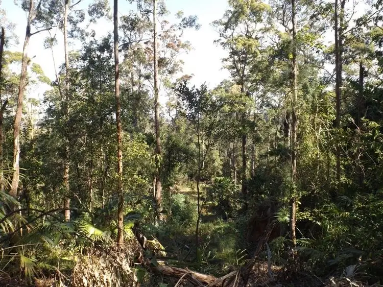 Third view of Homely rural property listing, Lot 1 Hawk Road, Newee Creek NSW 2447
