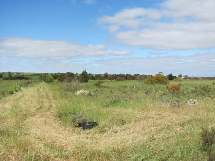 Fifth view of Homely house listing, 31 Golf Course Road, Tailem Bend SA 5260