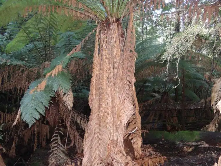 Seventh view of Homely land listing, 4895 Arthur Highway, Eaglehawk Neck TAS 7179