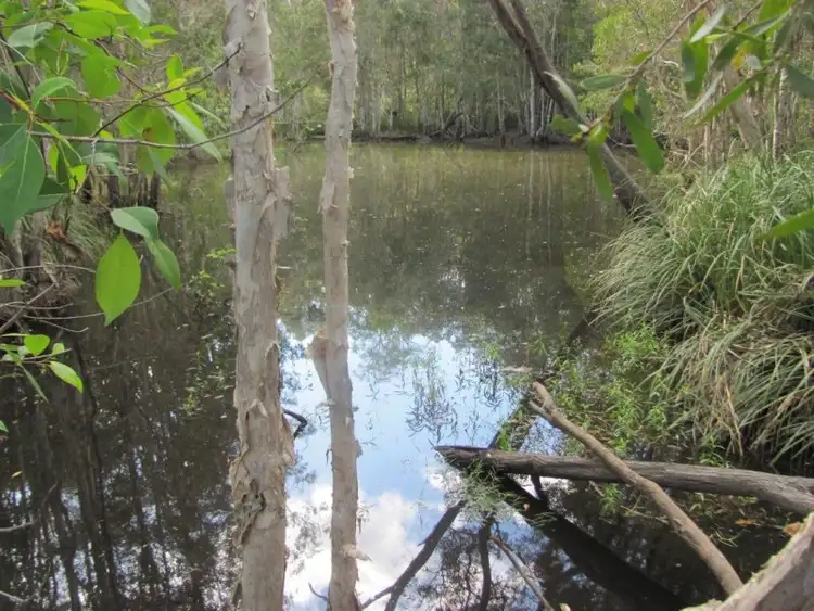 Seventh view of Homely rural property listing, 1341 Tableland Road, Mount Maria QLD 4674