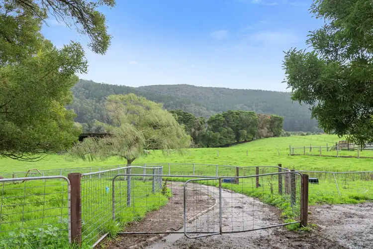 Third view of Homely rural property listing, 2060 Carlisle Road, Carlisle River VIC 3239