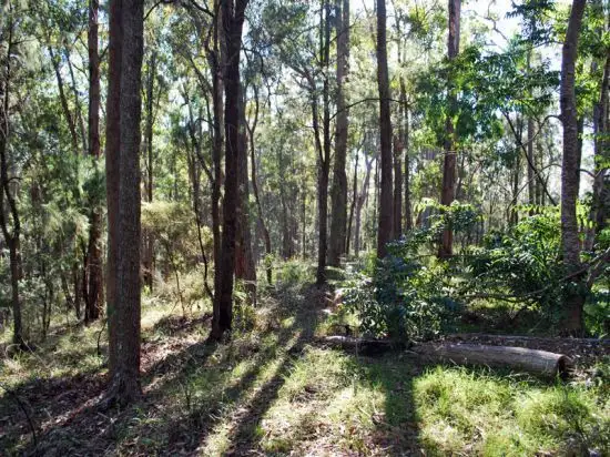 Fifth view of Homely rural property listing, 187 Sternbeck Lane, Bucketty NSW 2250