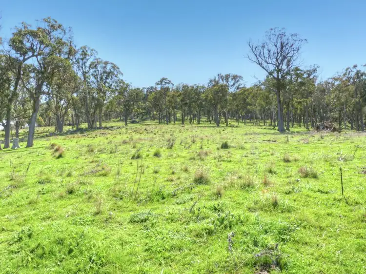 Sixth view of Homely rural property listing, 603 Snakes Valley Road, Tenterfield NSW 2372