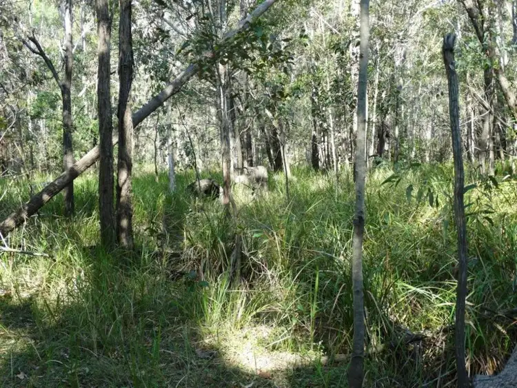 Third view of Homely land listing, 312 Mollenhagens Road, Winfield QLD 4670