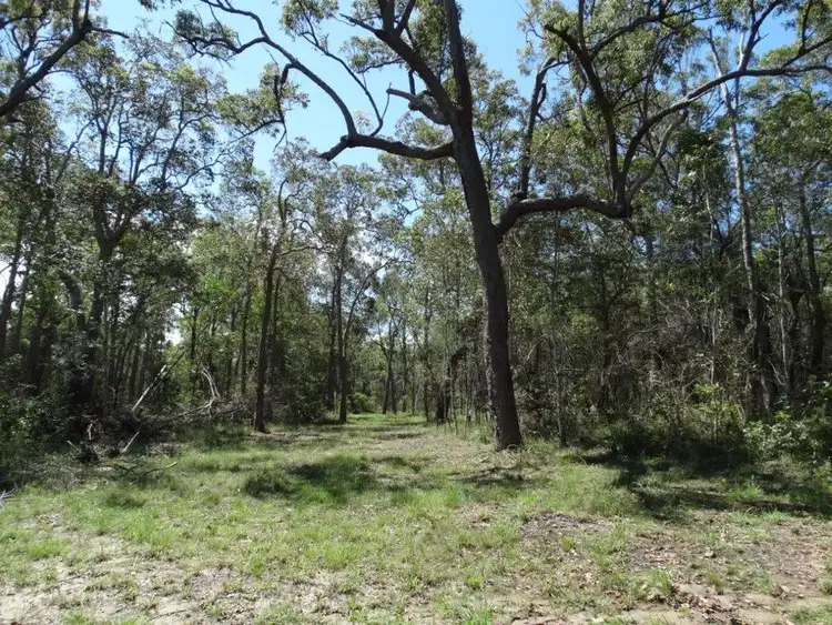 Sixth view of Homely rural property listing, Lot 9 Muller Road, Baffle Creek QLD 4674