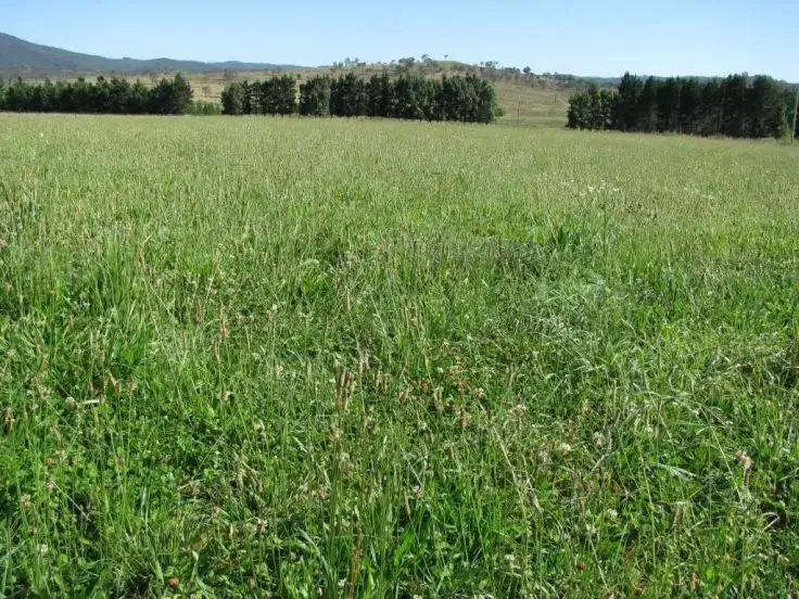 Sixth view of Homely rural property listing, Address available on request