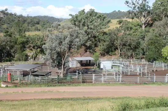 Fourth view of Homely rural property listing, 1 Glenrock Station, Scone NSW 2337
