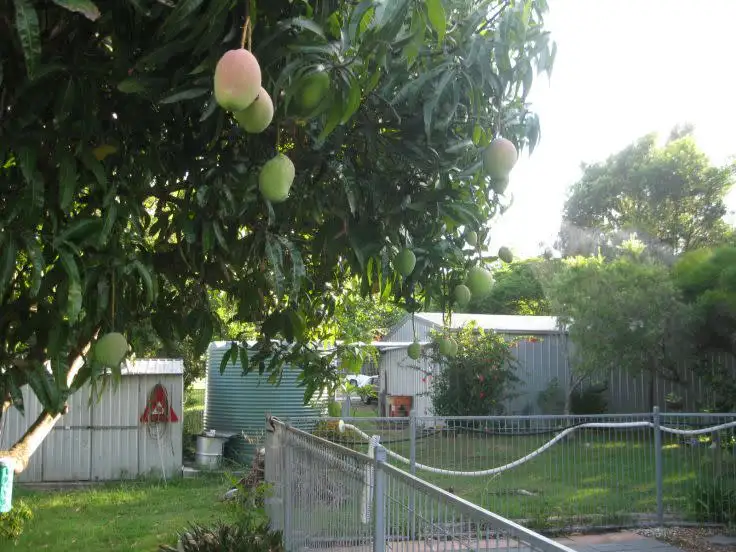 Third view of Homely house listing, 58 Aldinga St, Redbank Plains QLD 4301