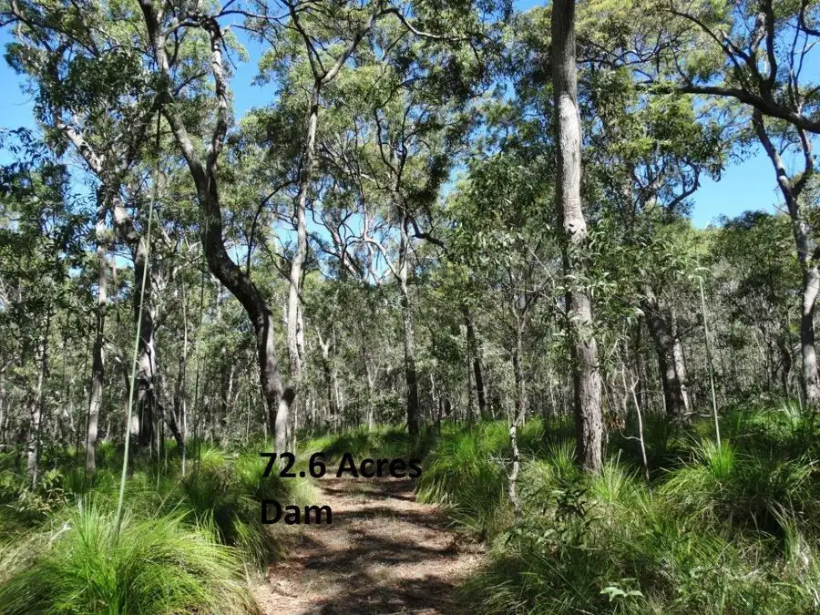Main view of Homely rural property listing, Lot 4 Deepwater Road, Deepwater QLD 4674