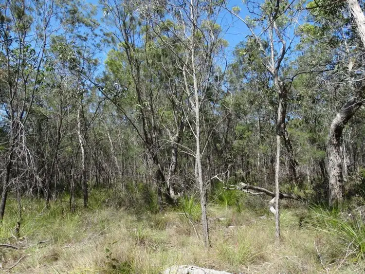 Sixth view of Homely rural property listing, Lot 157 Capricornia Drive, Deepwater QLD 4674