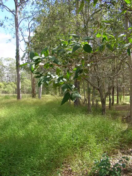 Sixth view of Homely land listing, Address available on request