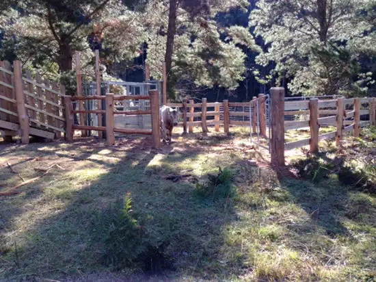 Fifth view of Homely rural property listing, Address available on request