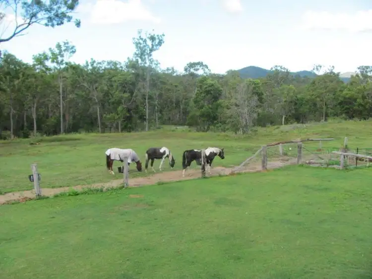 Third view of Homely rural property listing, 1341 Tableland Road, Mount Maria QLD 4674