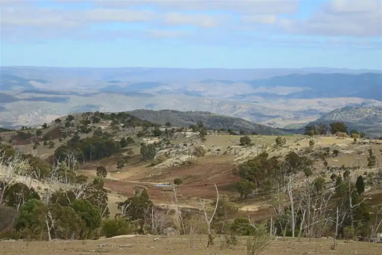Fifth view of Homely rural property listing, 466 Gunyah Road, Tenterfield NSW 2372
