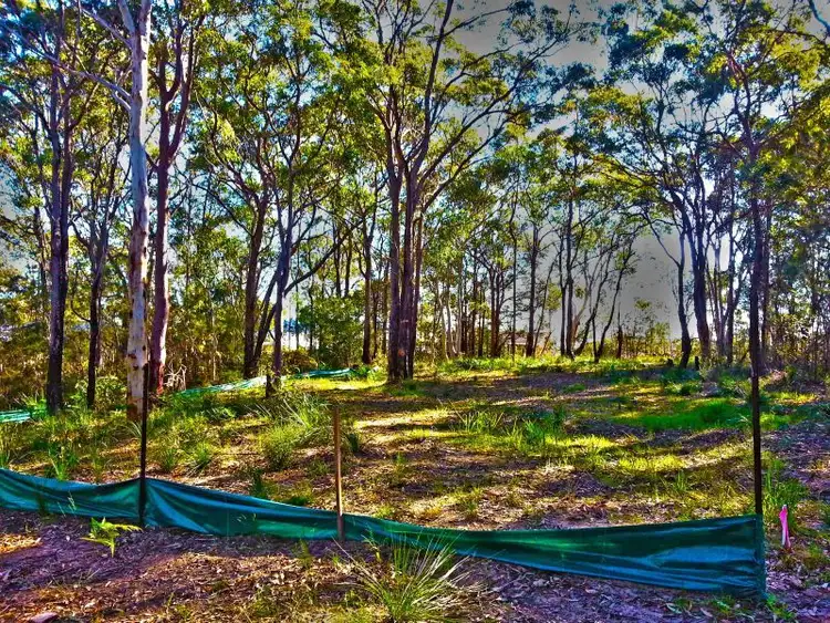 Main view of Homely land listing, 22 Summerhayes Road, Wyee NSW 2259