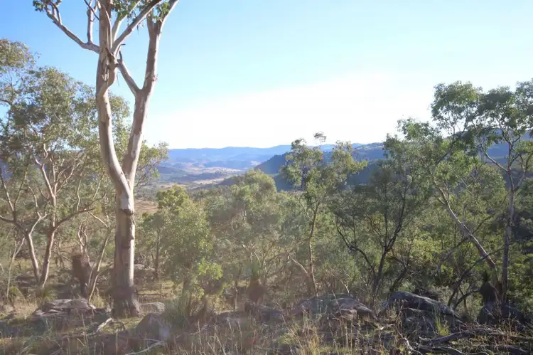 1303 Woodside Road, Tenterfield NSW 2372