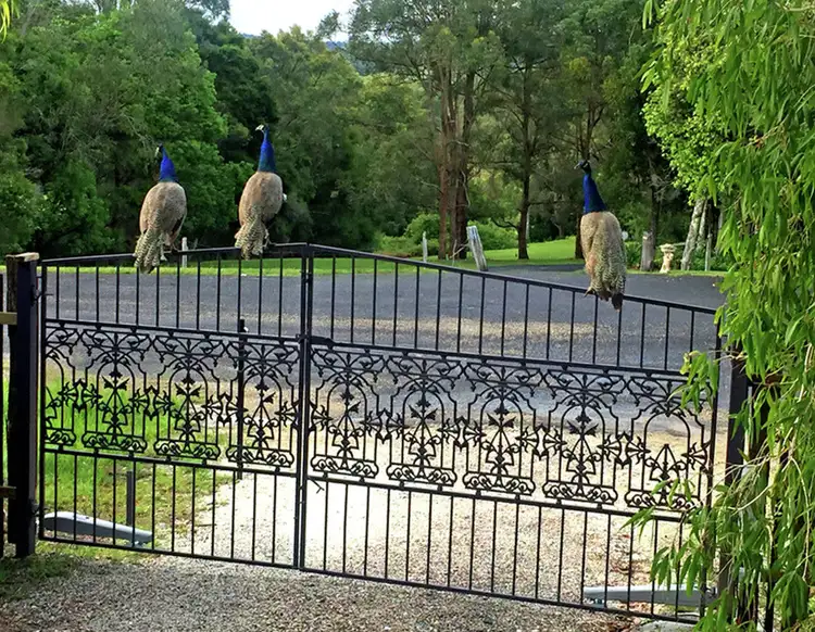 Second view of Homely house listing, 134 Lagoon Drive, Myocum NSW 2481