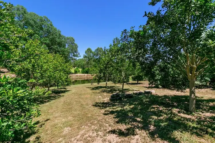 Sixth view of Homely land listing, 116 Green Trees Rd, Pie Creek QLD 4570