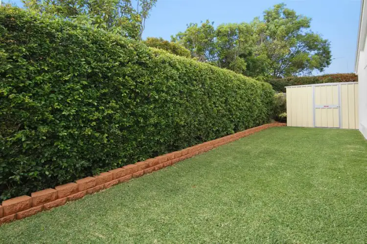 Seventh view of Homely house listing, 11 Malta Place, Kawana Island QLD 4575