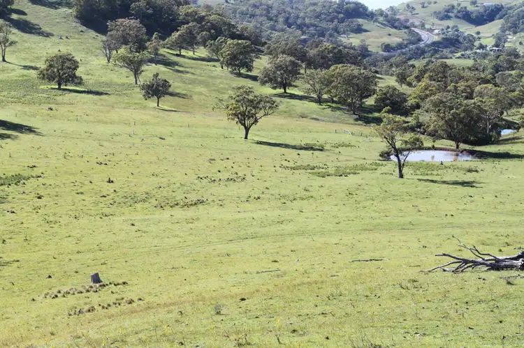 Second view of Homely rural property listing, 1 "Ridgelands" Swinging Ridges Rd, Scone NSW 2337