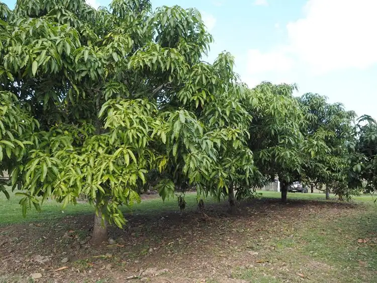 Sixth view of Homely rural property listing, 67 Hetheringtons Road, Gunalda QLD 4570